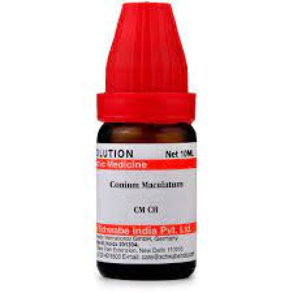Conium Maculatum